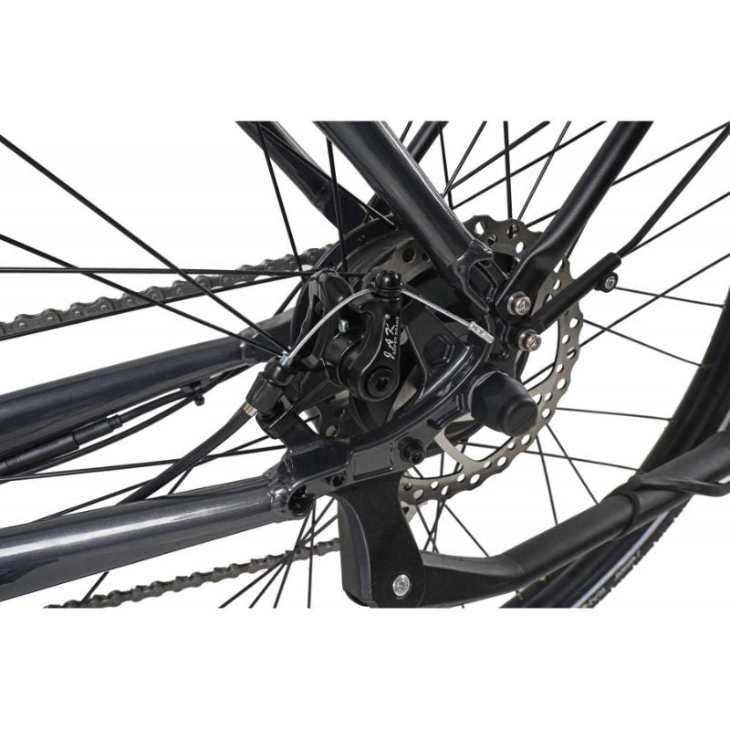 Dawes Scenic Step-Through Hybrid Electric Bike 250W - Charge & Glide