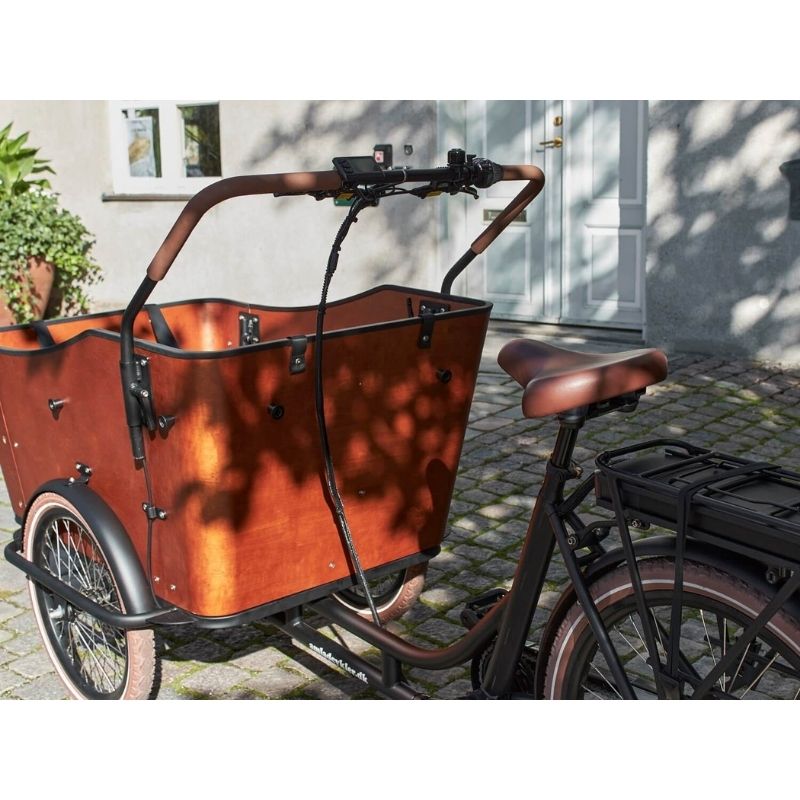 AMCARGOBIKES ULTIMATE HARMONY CARGO ELECTRIC BIKE TRICYCLE 250W (4 CHILDREN) - Charge & Glide