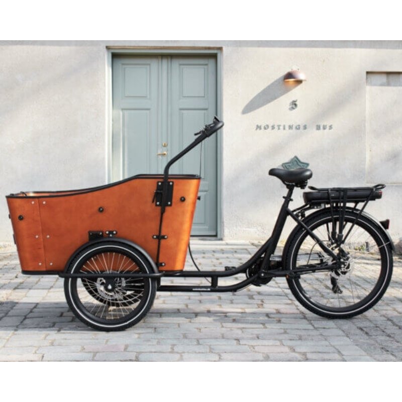 AMCARGOBIKES ULTIMATE HARMONY CARGO ELECTRIC BIKE TRICYCLE 250W (4 CHILDREN) - Charge & Glide