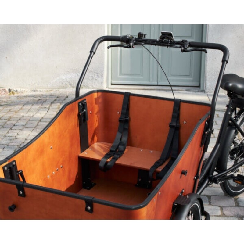 AMCARGOBIKES ULTIMATE HARMONY CARGO ELECTRIC BIKE TRICYCLE 250W (4 CHILDREN) - Charge & Glide