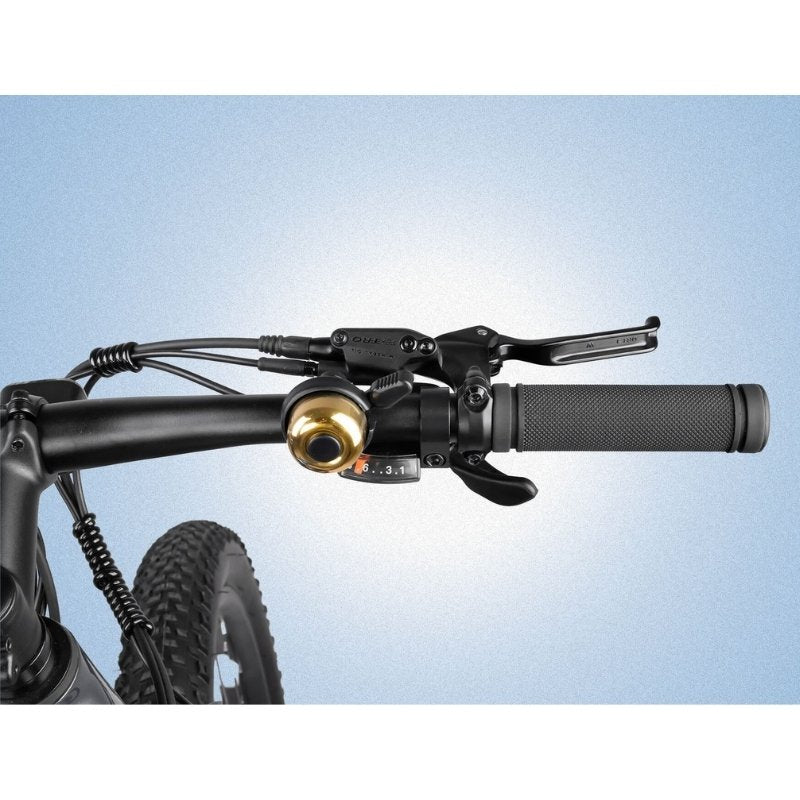 Cyrusher Flex Electric Mountain Bike - 250W
