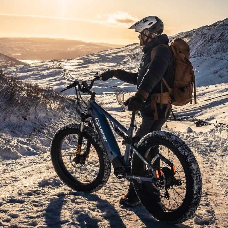 CYRUSHER ROVER FULL SUSPENSION ALL-TERRAIN FAT TYRE ELECTRIC BIKE 250W - Charge & Glide