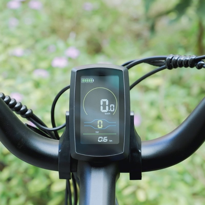 CYRUSHER ROVER FULL SUSPENSION ALL-TERRAIN FAT TYRE ELECTRIC BIKE 250W - Charge & Glide