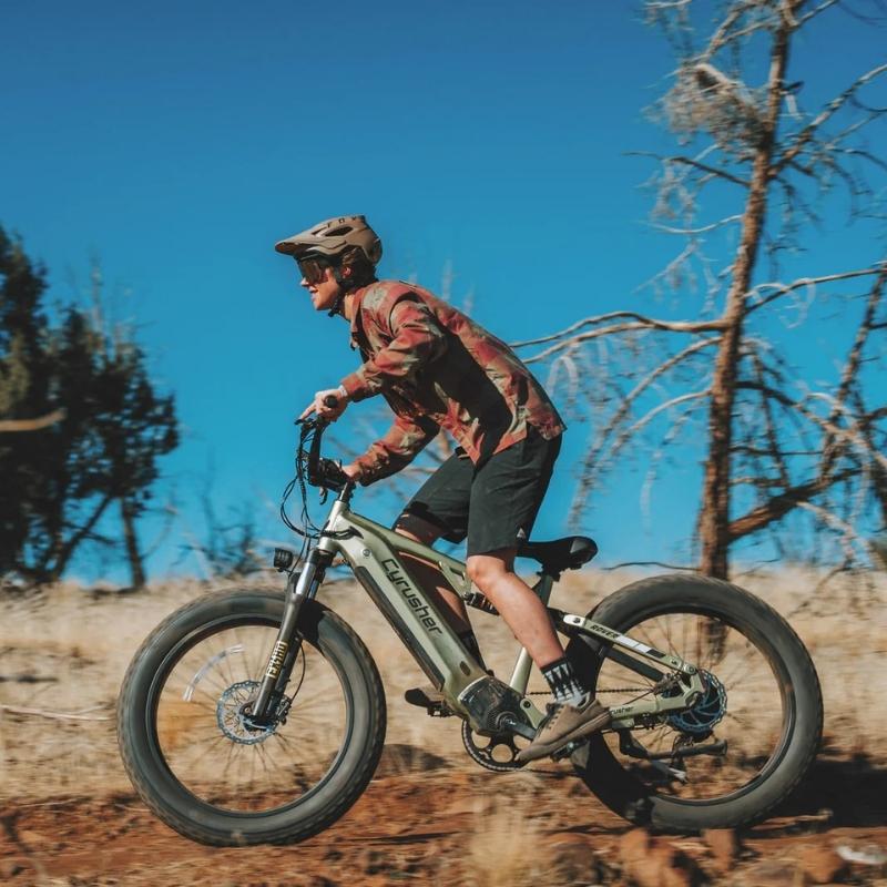 CYRUSHER ROVER FULL SUSPENSION ALL-TERRAIN FAT TYRE ELECTRIC BIKE 250W - Charge & Glide