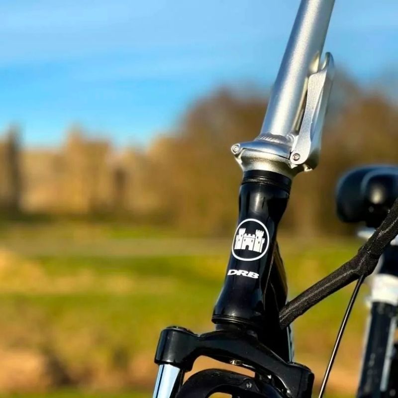 Dallingridge Oxford Step-Through Folding Electric Bike 250W – Gloss Black - Charge & Glide