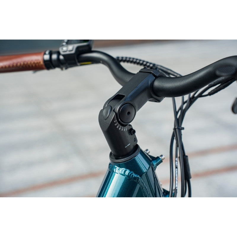 FIIDO C11 PRO STEP THROUGH CITY ELECTRIC BIKE 250W - Charge & Glide