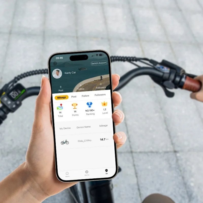 FIIDO C11 PRO STEP THROUGH CITY ELECTRIC BIKE 250W - Charge & Glide