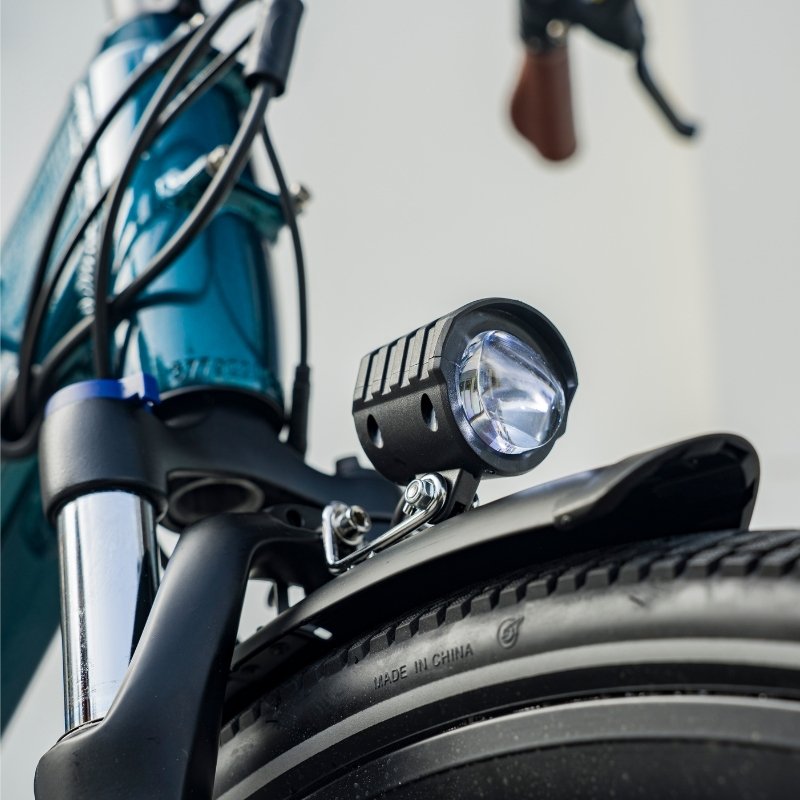 FIIDO C11 PRO STEP THROUGH CITY ELECTRIC BIKE 250W - Charge & Glide