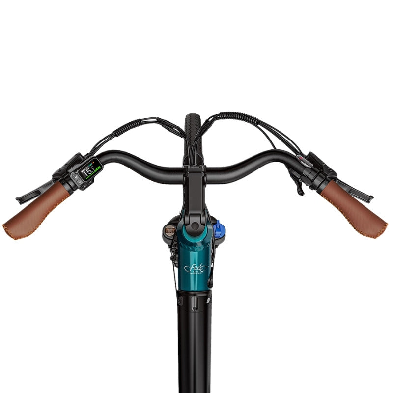 FIIDO C11 PRO STEP THROUGH CITY ELECTRIC BIKE 250W - Charge & Glide