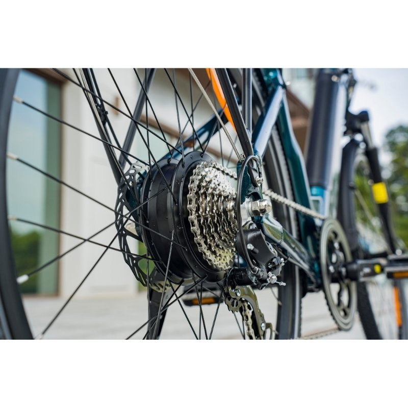 FIIDO C11 PRO STEP THROUGH CITY ELECTRIC BIKE 250W - Charge & Glide