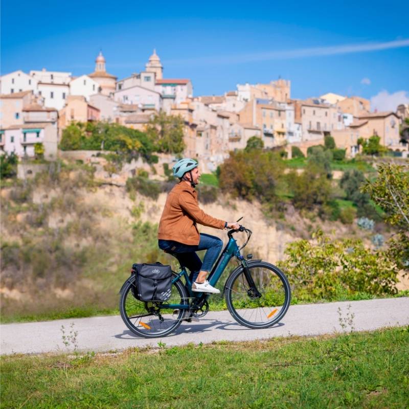 FIIDO C11 PRO STEP THROUGH CITY ELECTRIC BIKE 250W - Charge & Glide