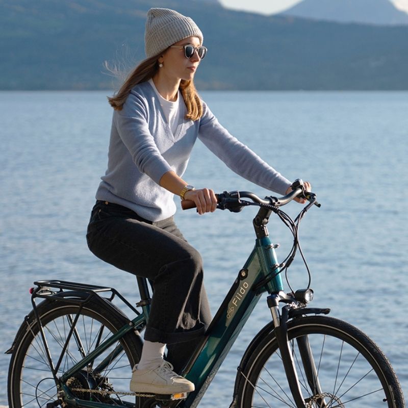 FIIDO C11 PRO STEP THROUGH CITY ELECTRIC BIKE 250W - Charge & Glide
