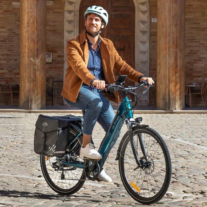 FIIDO C11 PRO STEP THROUGH CITY ELECTRIC BIKE 250W - Charge & Glide