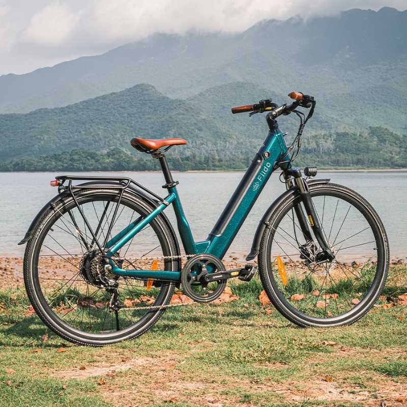 FIIDO C11 PRO STEP THROUGH CITY ELECTRIC BIKE 250W - Charge & Glide