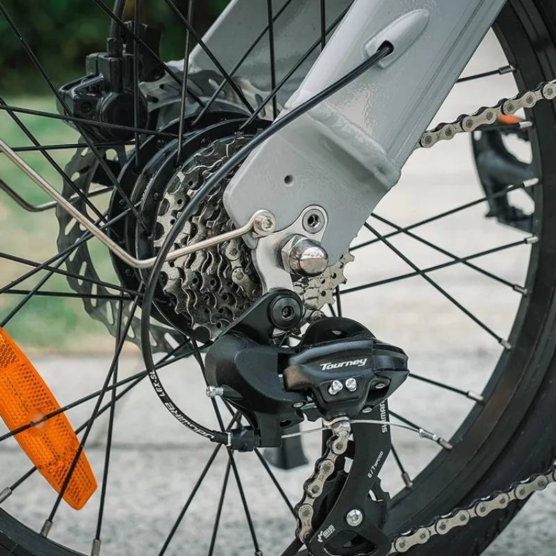 FIIDO D11 LIGHTWEIGHT FOLDING ELECTRIC BIKE 250W - Charge & Glide