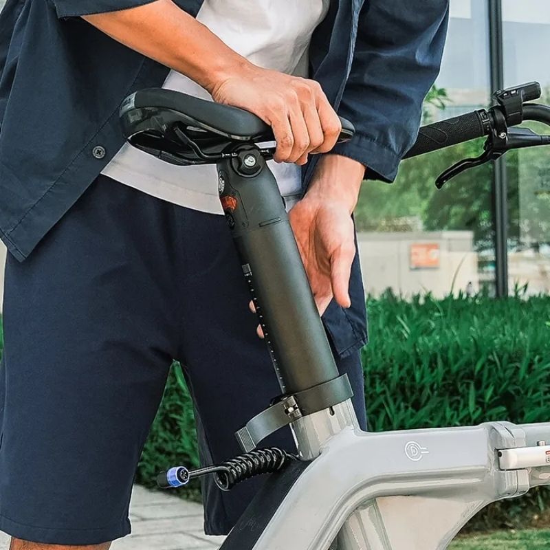 FIIDO D11 LIGHTWEIGHT FOLDING ELECTRIC BIKE 250W - Charge & Glide