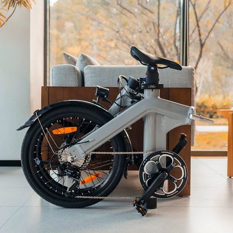 FIIDO D11 LIGHTWEIGHT FOLDING ELECTRIC BIKE 250W - Charge & Glide