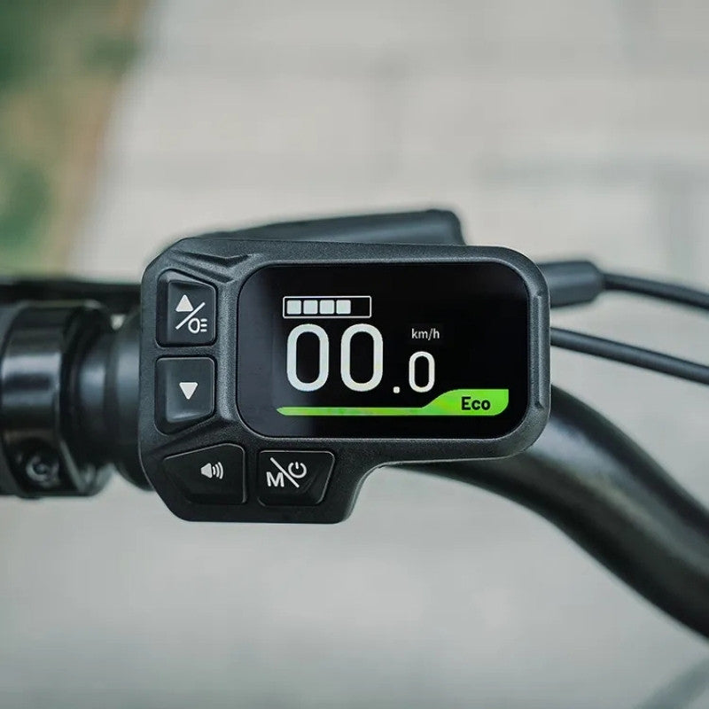 FIIDO D11 LIGHTWEIGHT FOLDING ELECTRIC BIKE 250W - Charge & Glide