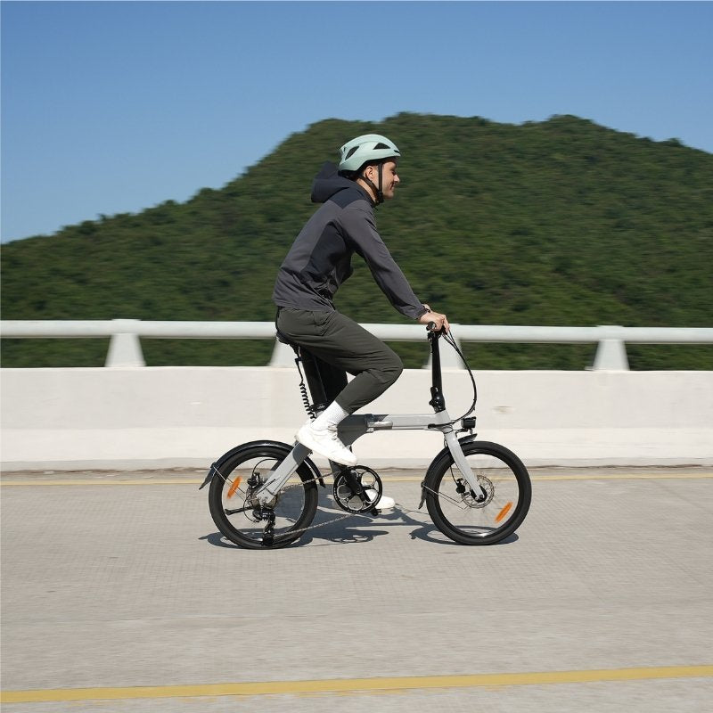 FIIDO D11 LIGHTWEIGHT FOLDING ELECTRIC BIKE 250W - Charge & Glide