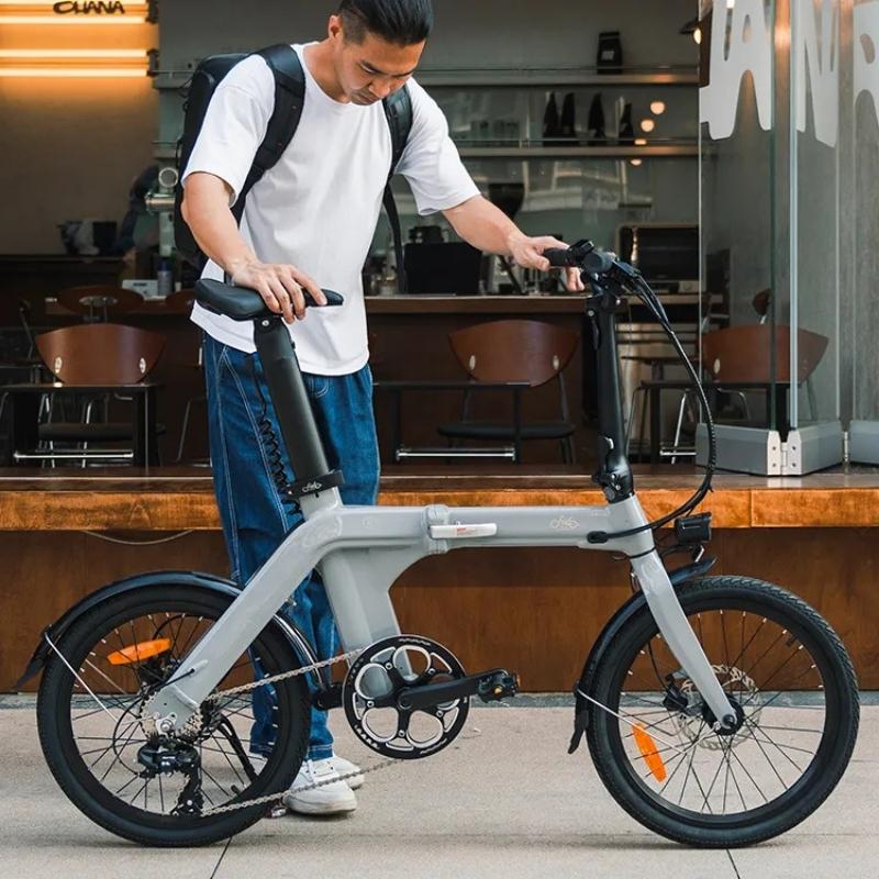 FIIDO D11 LIGHTWEIGHT FOLDING ELECTRIC BIKE 250W - Charge & Glide