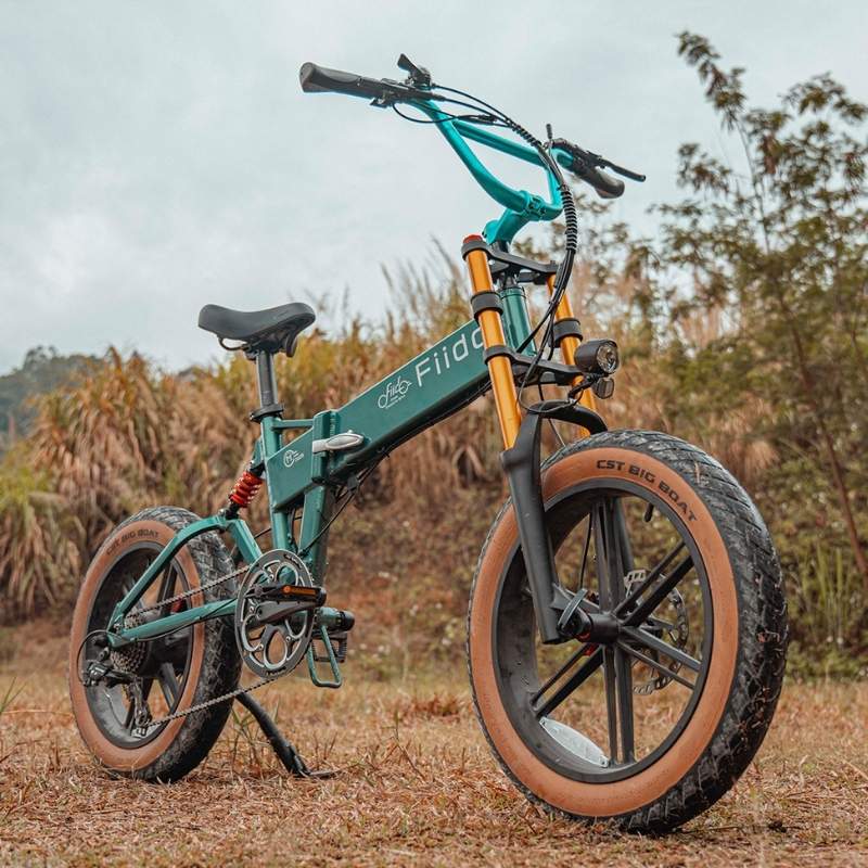 FIIDO M1 PRO FAT TYRE FOLDING ELECTRIC BIKE 250W - Charge & Glide