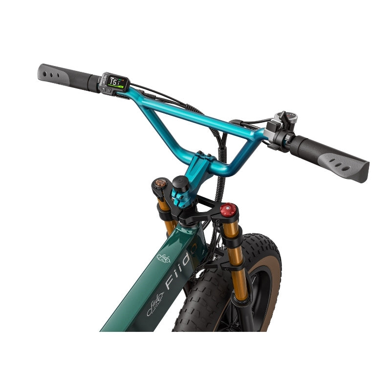 FIIDO M1 PRO FAT TYRE FOLDING ELECTRIC BIKE 250W - Charge & Glide