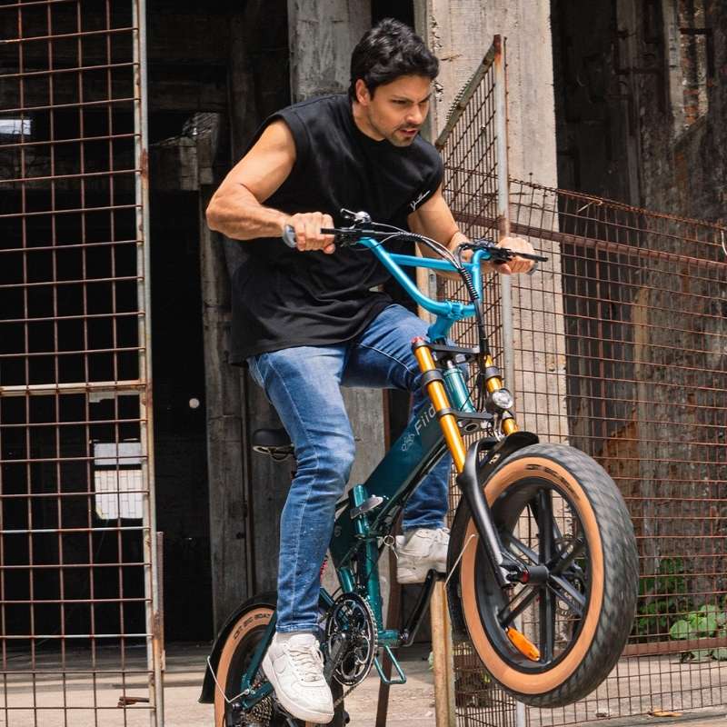 FIIDO M1 PRO FAT TYRE FOLDING ELECTRIC BIKE 250W - Charge & Glide
