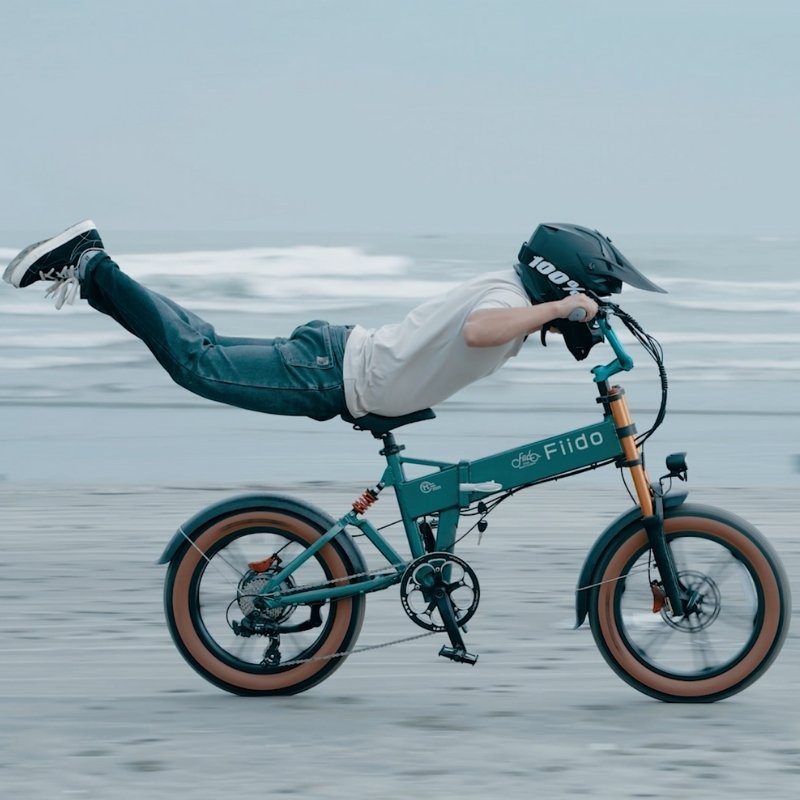 FIIDO M1 PRO FAT TYRE FOLDING ELECTRIC BIKE 250W - Charge & Glide