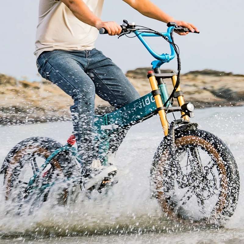 FIIDO M1 PRO FAT TYRE FOLDING ELECTRIC BIKE 250W - Charge & Glide