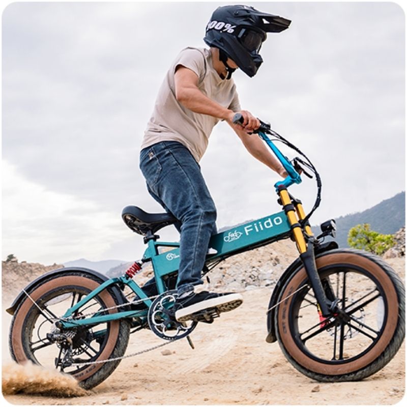 FIIDO M1 PRO FAT TYRE FOLDING ELECTRIC BIKE 250W - Charge & Glide