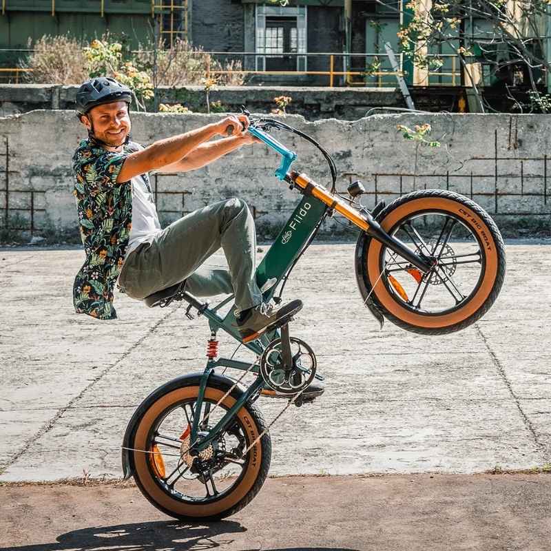 FIIDO M1 PRO FAT TYRE FOLDING ELECTRIC BIKE 250W - Charge & Glide