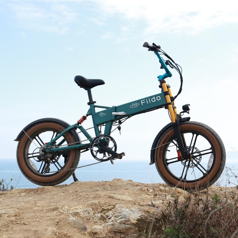 FIIDO M1 PRO FAT TYRE FOLDING ELECTRIC BIKE 250W - Charge & Glide