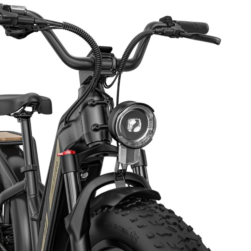 FIIDO TITAN FAT-TYRE TOURING LONG-RANGE ELECTRIC BIKE - 250W - Charge & Glide