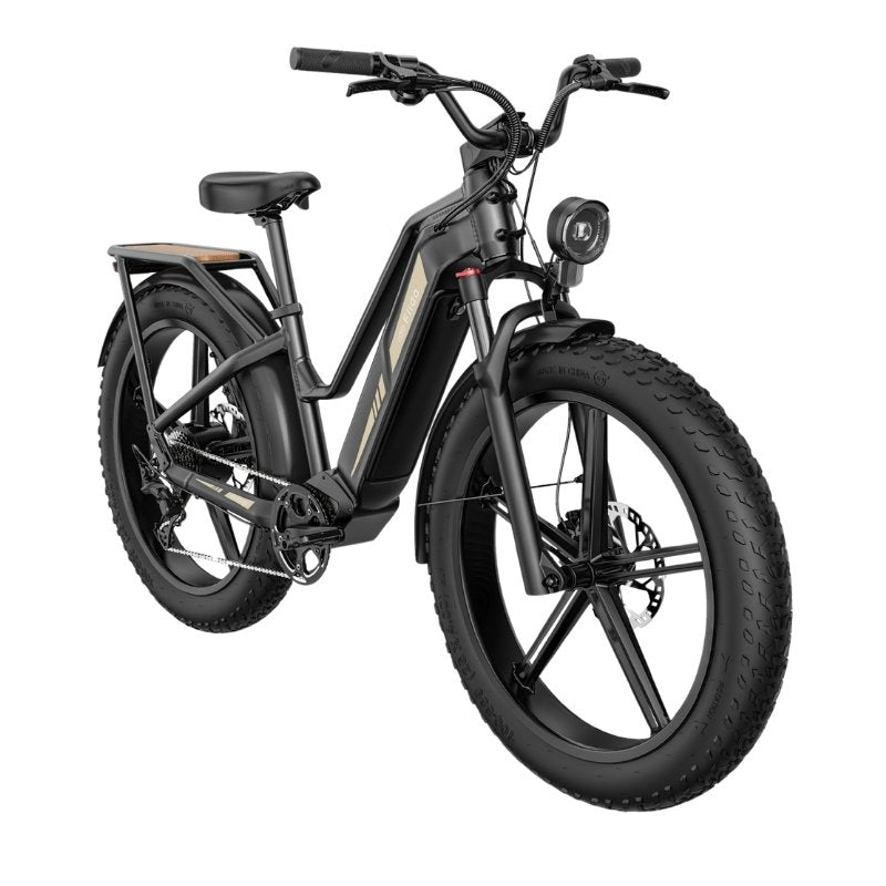 FIIDO TITAN FAT-TYRE TOURING LONG-RANGE ELECTRIC BIKE - 250W - Charge & Glide