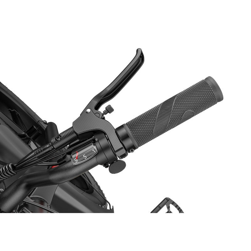 FIIDO TITAN FAT-TYRE TOURING LONG-RANGE ELECTRIC BIKE - 250W - Charge & Glide
