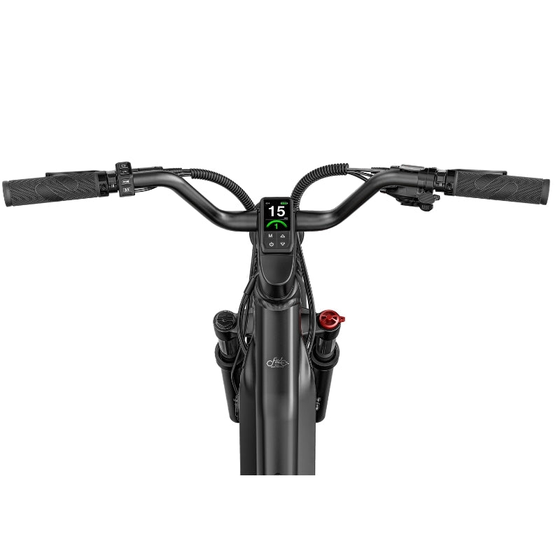 FIIDO TITAN FAT-TYRE TOURING LONG-RANGE ELECTRIC BIKE - 250W - Charge & Glide