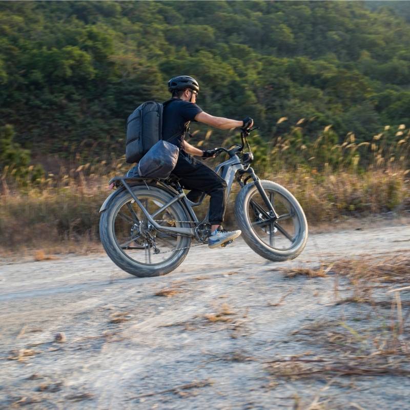 FIIDO TITAN FAT-TYRE TOURING LONG-RANGE ELECTRIC BIKE - 250W - Charge & Glide