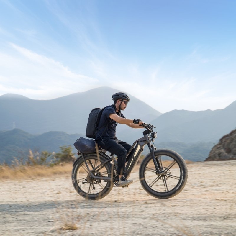 FIIDO TITAN FAT-TYRE TOURING LONG-RANGE ELECTRIC BIKE - 250W - Charge & Glide