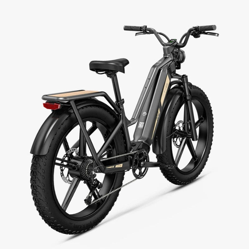 FIIDO TITAN FAT-TYRE TOURING LONG-RANGE ELECTRIC BIKE - 250W - Charge & Glide