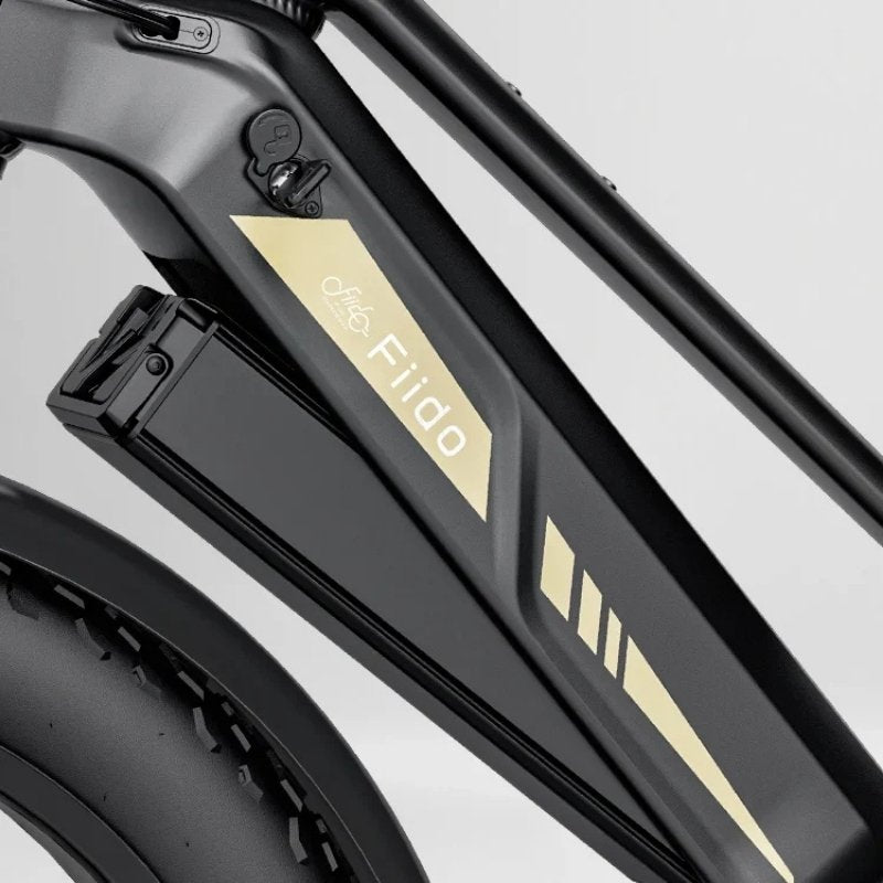 FIIDO TITAN FAT-TYRE TOURING LONG-RANGE ELECTRIC BIKE - 250W - Charge & Glide