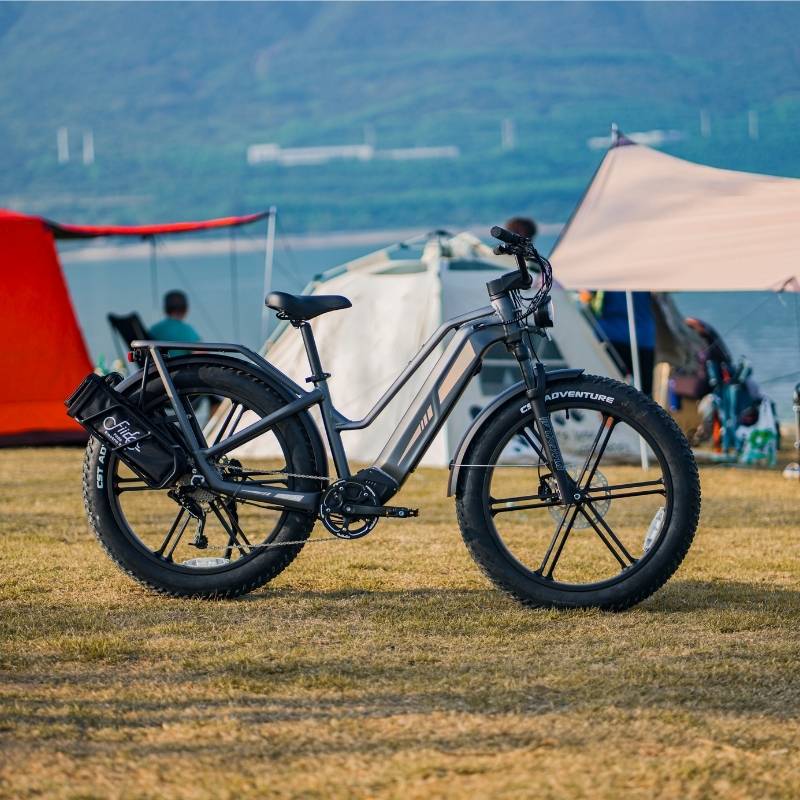 FIIDO TITAN FAT-TYRE TOURING LONG-RANGE ELECTRIC BIKE - 250W - Charge & Glide