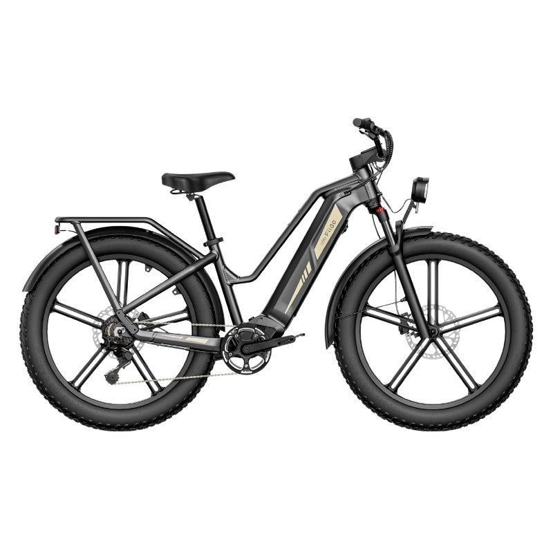 FIIDO TITAN FAT-TYRE TOURING LONG-RANGE ELECTRIC BIKE - 250W - Charge & Glide