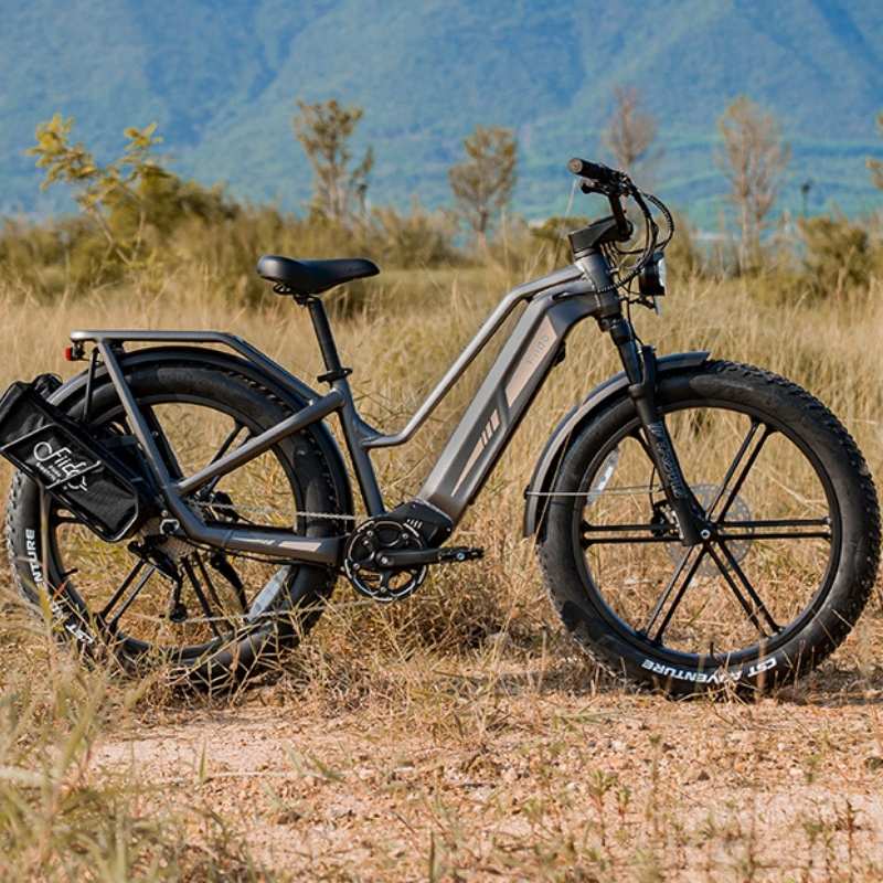 FIIDO TITAN FAT-TYRE TOURING LONG-RANGE ELECTRIC BIKE - 250W - Charge & Glide