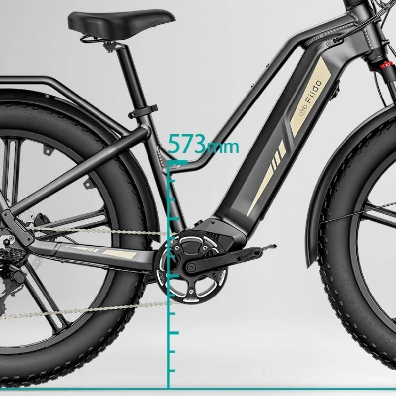 FIIDO TITAN FAT-TYRE TOURING LONG-RANGE ELECTRIC BIKE - 250W - Charge & Glide