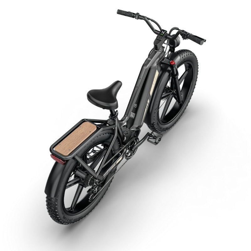 FIIDO TITAN FAT-TYRE TOURING LONG-RANGE ELECTRIC BIKE - 250W - Charge & Glide