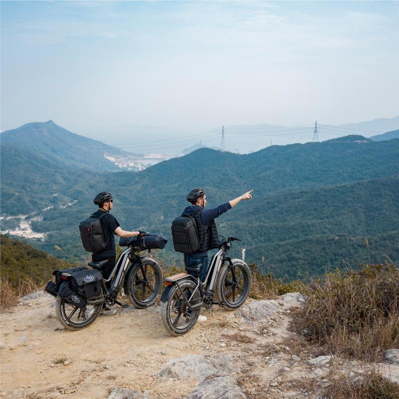 FIIDO TITAN FAT-TYRE TOURING LONG-RANGE ELECTRIC BIKE - 250W - Charge & Glide