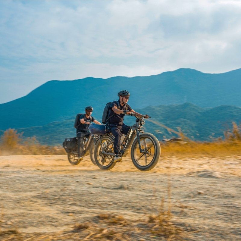 FIIDO TITAN FAT-TYRE TOURING LONG-RANGE ELECTRIC BIKE - 250W - Charge & Glide