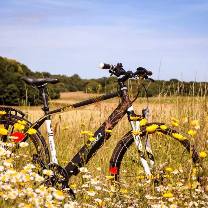 MARK2 X-CROSS 520 LIGHTWEIGHT HYBRID COMMUTER ELECTRIC BIKE 250W - Charge & Glide