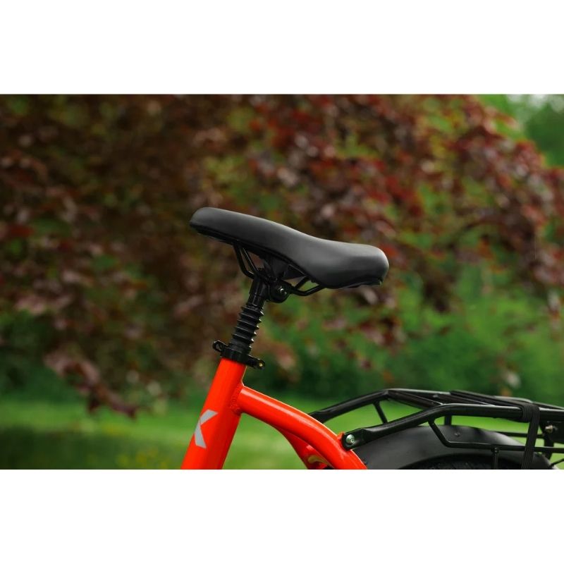 Roxform IGNIS Mid-Drive Step-Through Folding Electric Bike 250W - Charge & Glide
