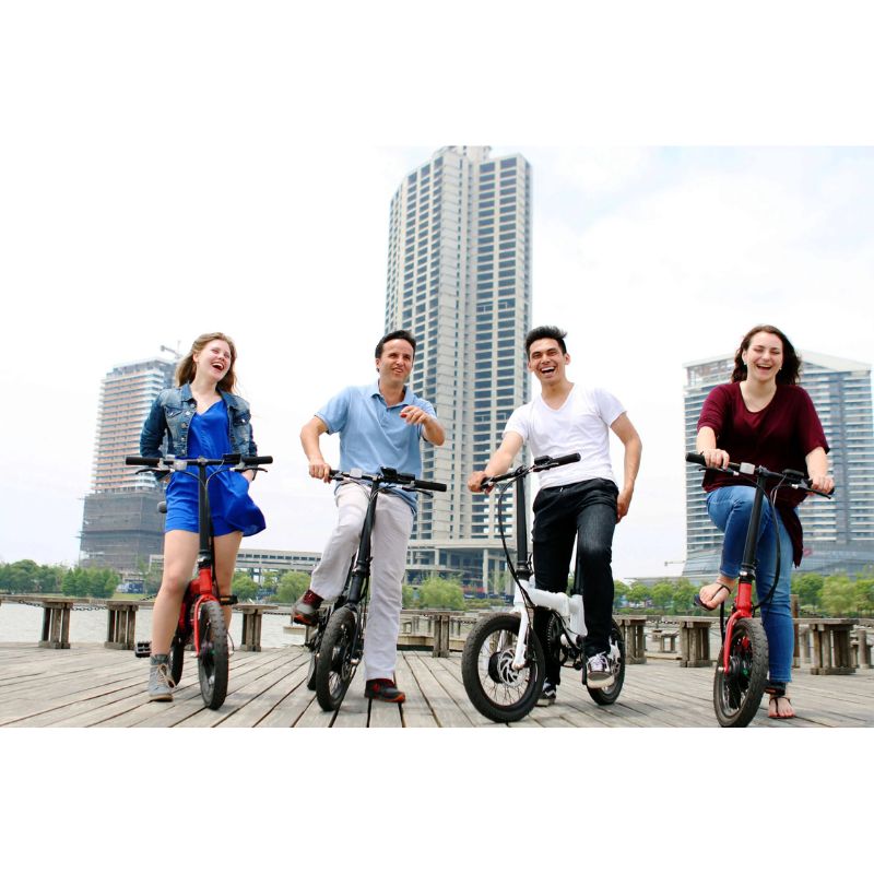 LEITNER ARIA 250W Lightweight Folding Electric Bike